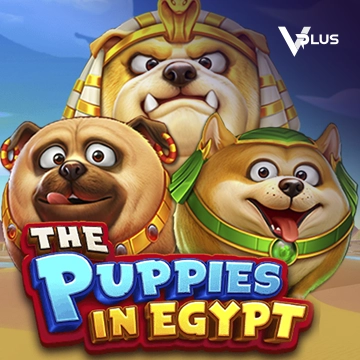The Puppies In Egypt - SNIPLAY88